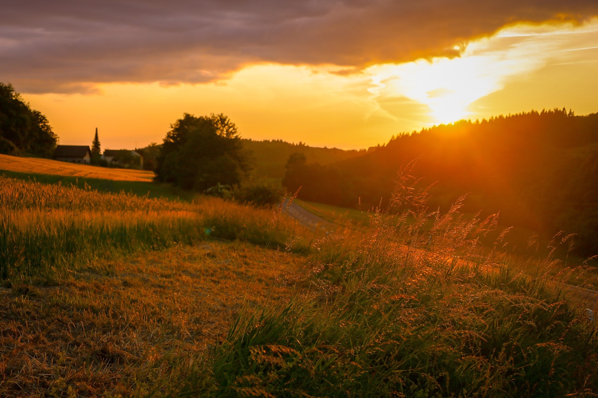 Sonnenuntergang in Waldsolms Sonnenuntergang vor einem Tannenwald in Waldsolms-Weiperfelden