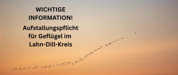 Aufstallungspflicht für Geflügel im Lahn-Dill-Kreis Auf dem Bild ist eine Kette mit Zugvögeln vor einem Sonnenuntergang zu sehen