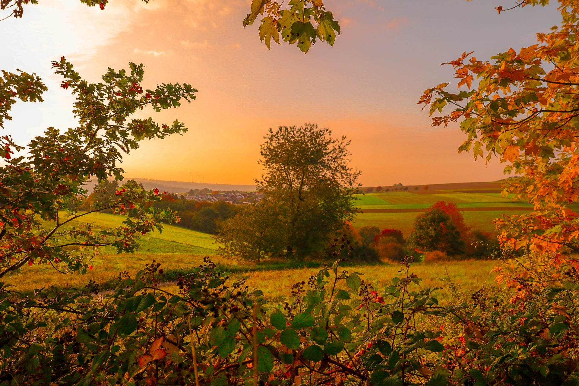 Herbststimmung in Waldsolms Herbstliche Landschaft in Waldsolms: Ein malerischer Blick über Felder und Wiesen im warmen Licht der Abendsonne. Bunte Blätter und Sträucher im Vordergrund, grüne und goldene Felder in der Ferne – ein stimmungsvolles Beispiel für die natürliche Schönheit von Waldsolms im Herbst.